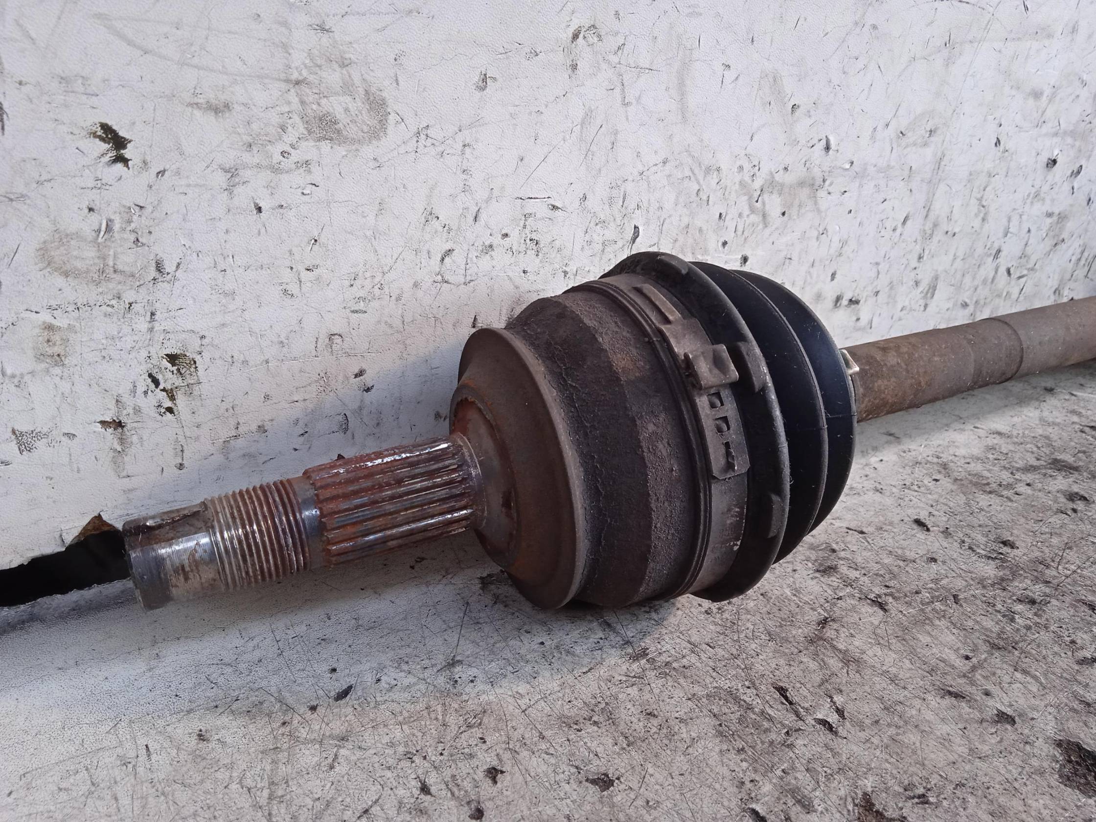 Semialbero ant. compl. dx.